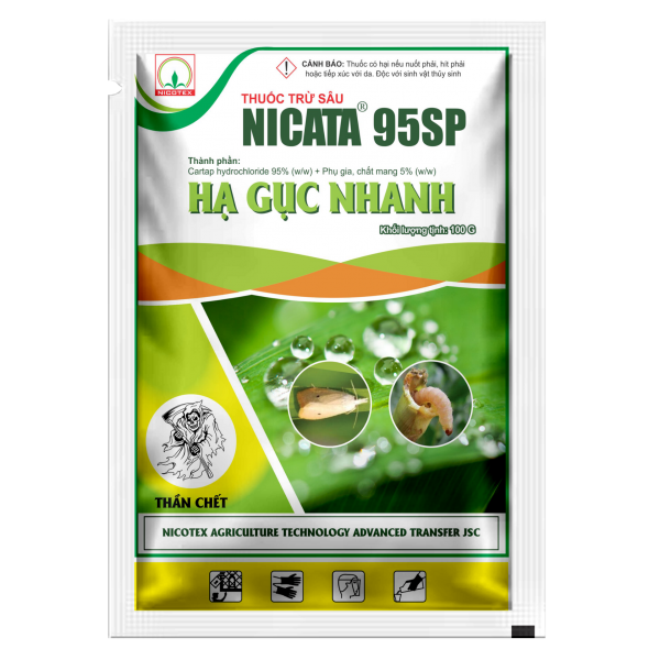 NICATA 95SP - Hình ảnh 3