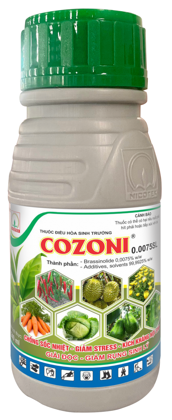 Chai Cozoni 240ml Nova