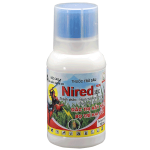 NIRED 3EC - Hình ảnh 2