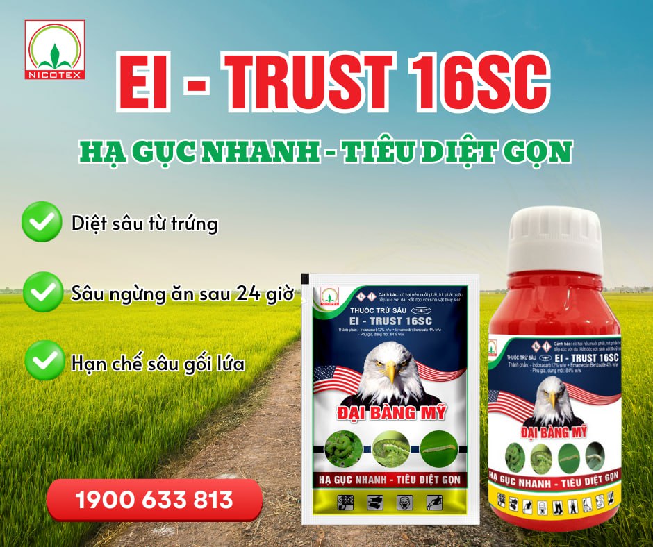 535812315 1341677134233720 4475189556337695376 n