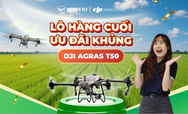 Máy bay nông nghiệp UAV DJI T50 "cất cánh" giữa đồng lúa Vĩnh Thạnh 528313982 759737586803926 5911196064566050403 n