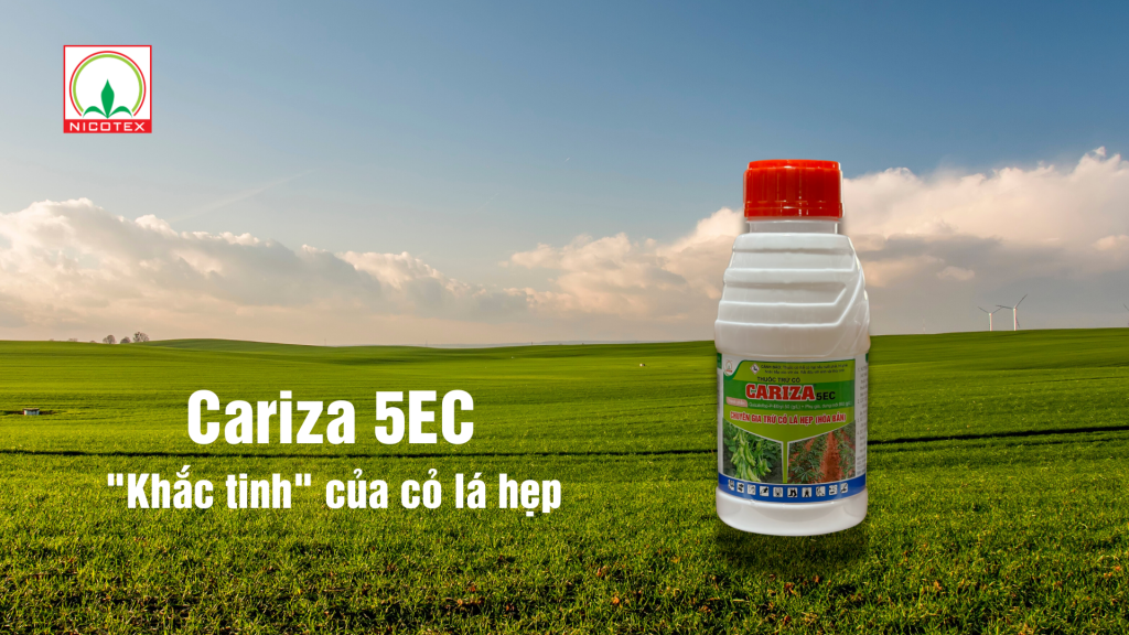 Nicotex Đà Nẵng đưa Cariza 5EC thế hệ mới vào sản xuất Tieu de