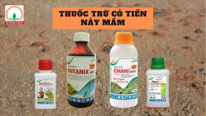 thuốc trừ cỏ tiền nảy mầm