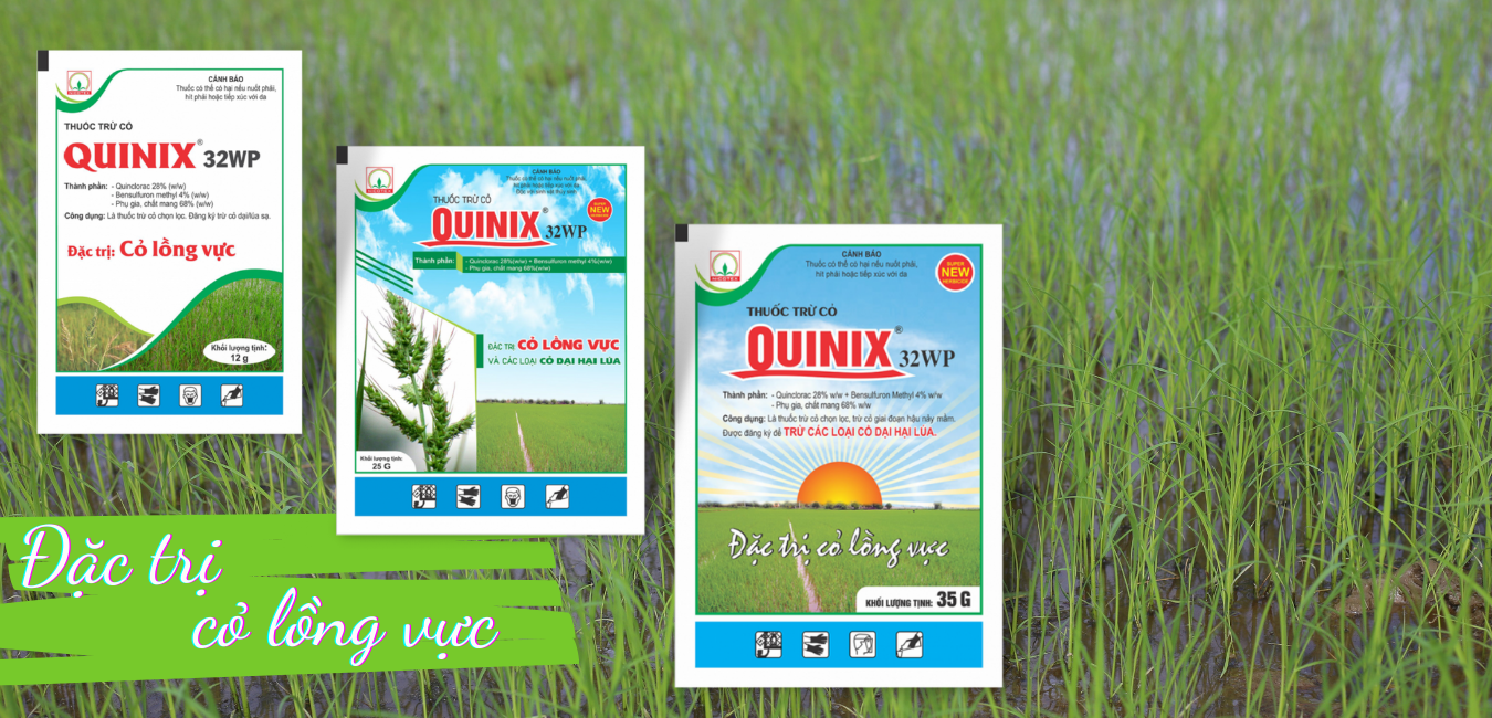 Thuốc trừ cỏ lồng vực quinix 32wp