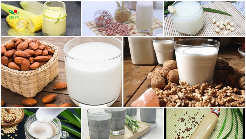 Sữa hạt có phải là giải pháp tăng sức đề kháng?