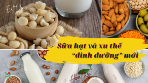 Thay vì ăn hạt sấy nguyên bản, 1 ly sữa hạt thơm béo liệu có hấp dẫn hơn?