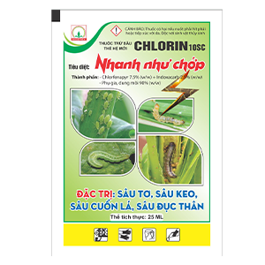 Chlorin 1