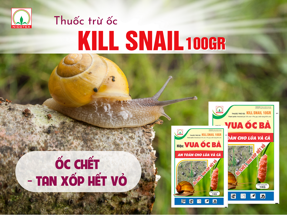 Kill Snail 10GR it anh huong den moi truong an toan voi lua