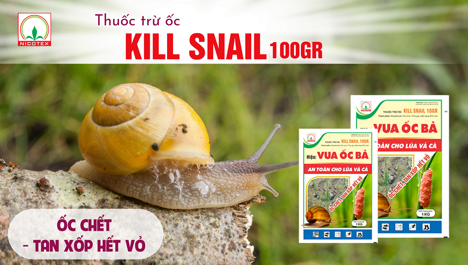 Kill Snail dang web