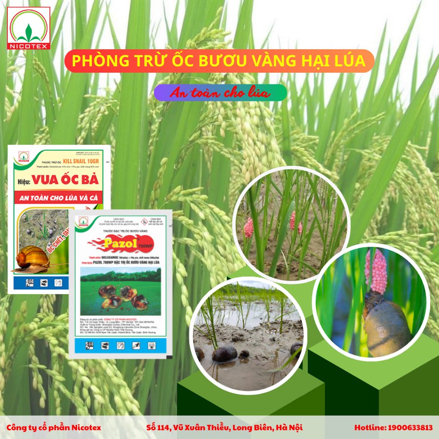 487431632 1220853552982746 1915910070337596704 n