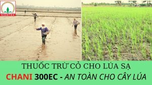 thuoc-tru-co-cho-lua-sa.jpg