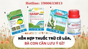 hon-hop-thuoc-tru-co-lua-1.jpg