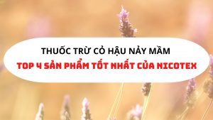 thuoc-tru-co-hau-nay-mam.jpg
