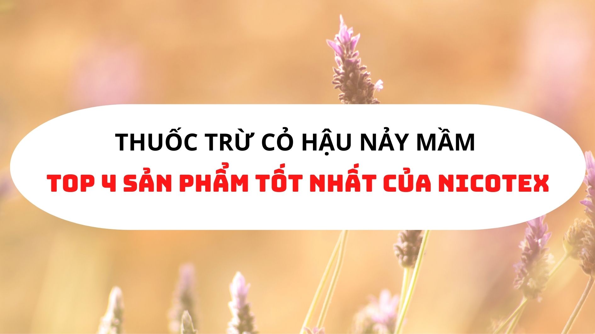 thuoc-tru-co-hau-nay-mam.jpg