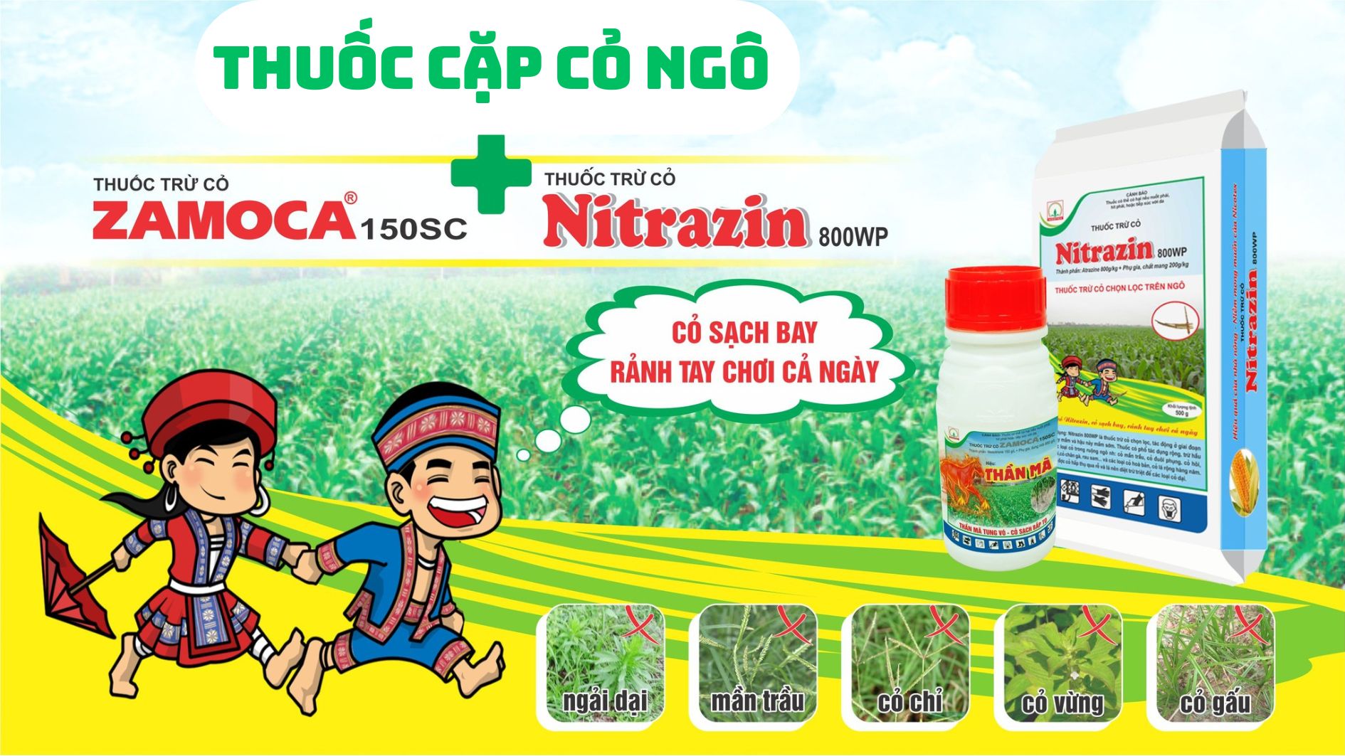 thuoc-cap-co-ngo.jpg