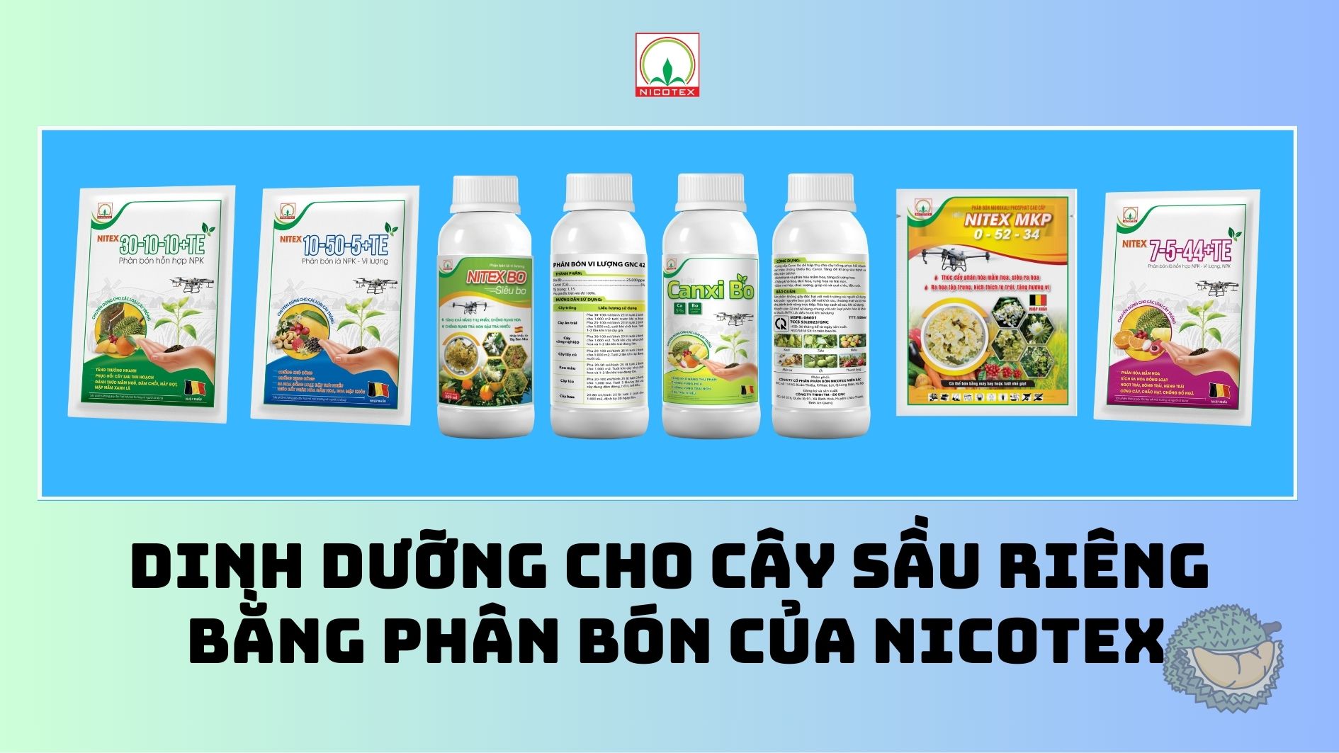 Dinh duong cho cay sau rieng bang phan bon cua