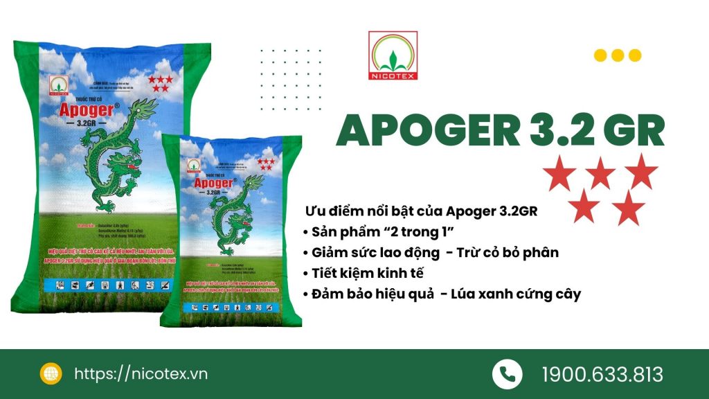 Apoger 1