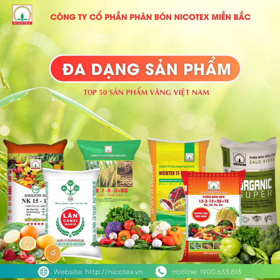 phan bon sp