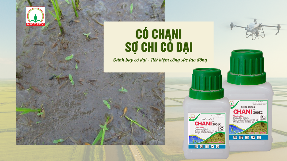 328934778 945800126462878 7585575378697237644 n