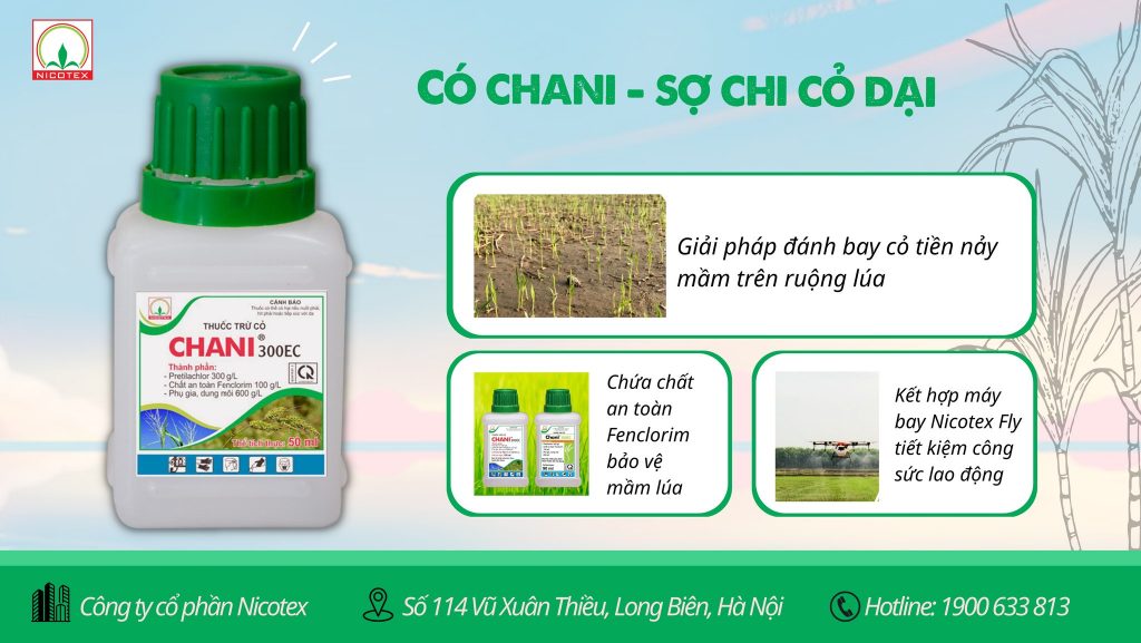 CHANI 300EC - Giải pháp toàn diện cho vụ mùa bội thu (Kỳ 2) 482246056 3902277546687462 1762692638818142855 n