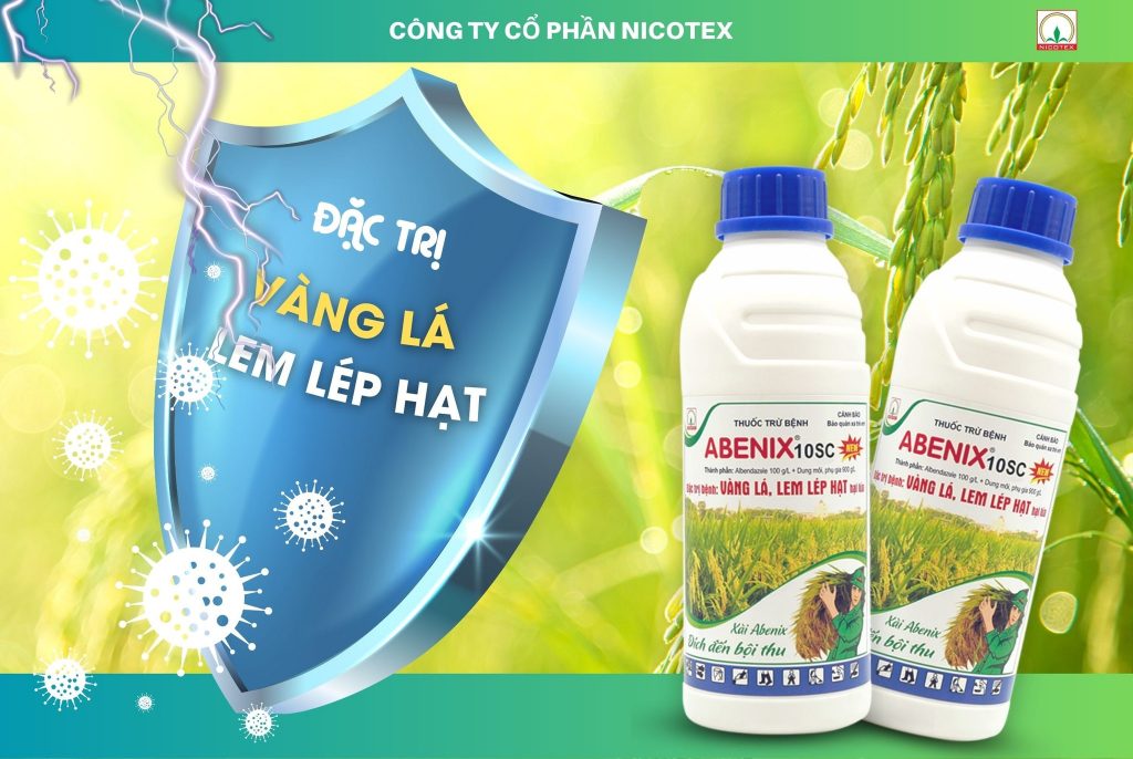 485003312 1212253020509466 5967902946090747173 n