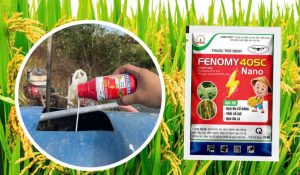 fenomy 40sc nano nicotex