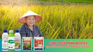 dự báo sâu bệnh hại