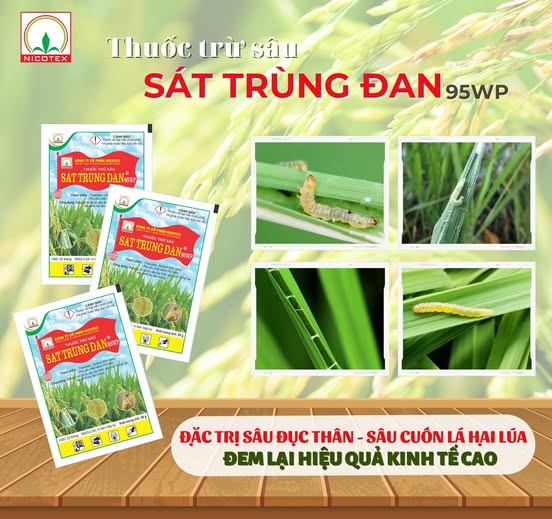 474746759 1170651151336320 644292271587417080 n