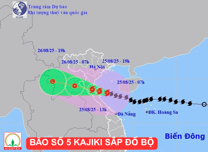 Noi dung doan van ban cua ban