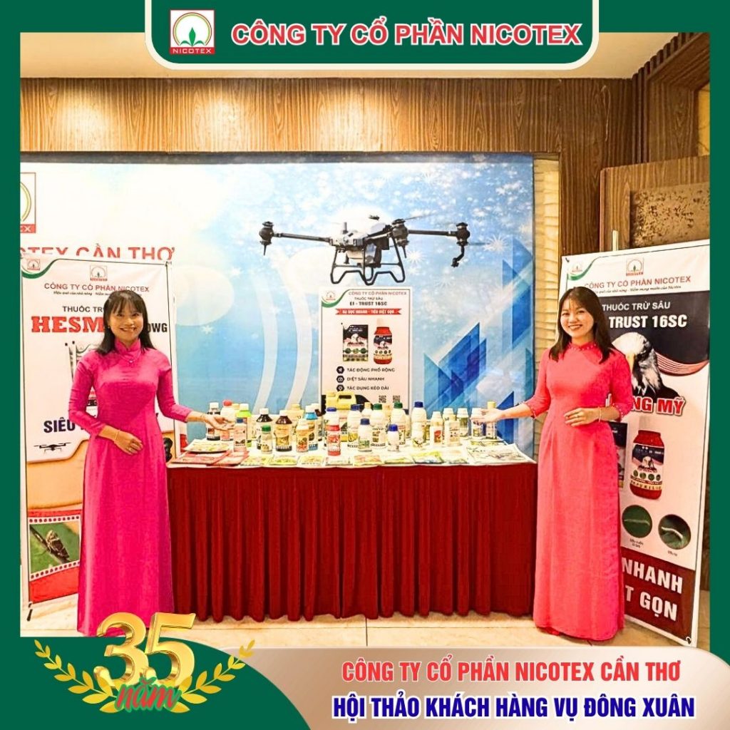 552678962 1370302324704534 1825763722502097438 n