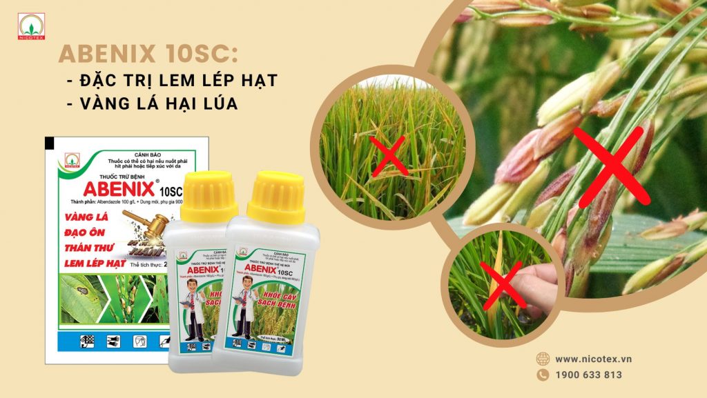 481221921 3889432071305343 4473025635537302755 n