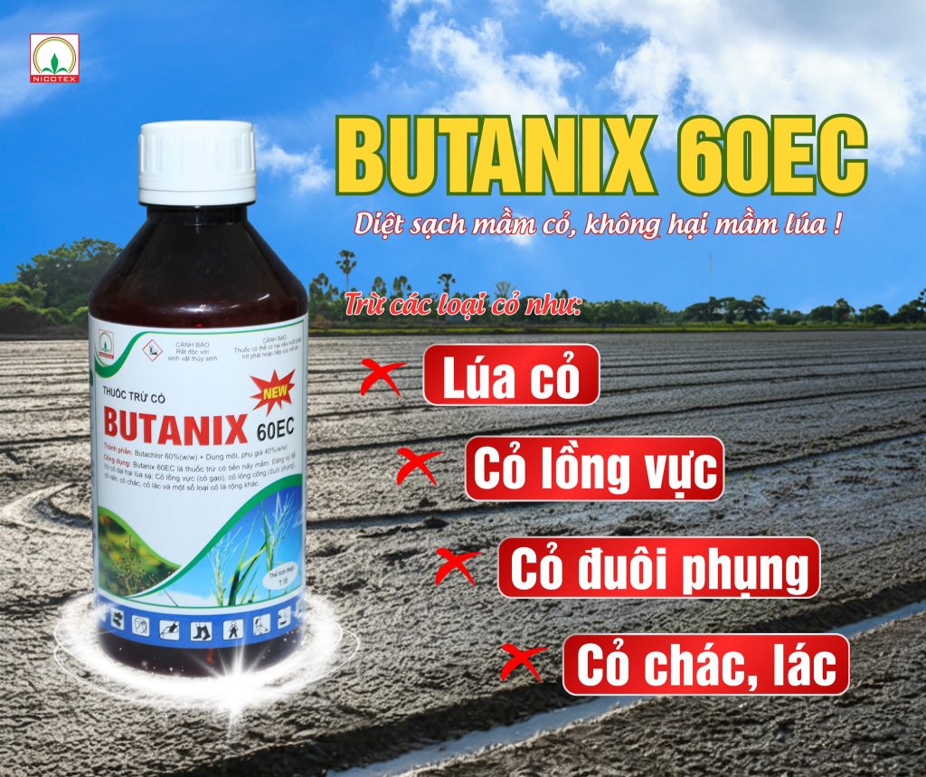 554077845 1371253804609386 8844557788567607299 n