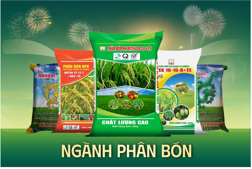 566354683 1400874398313993 4526818376487990608 n