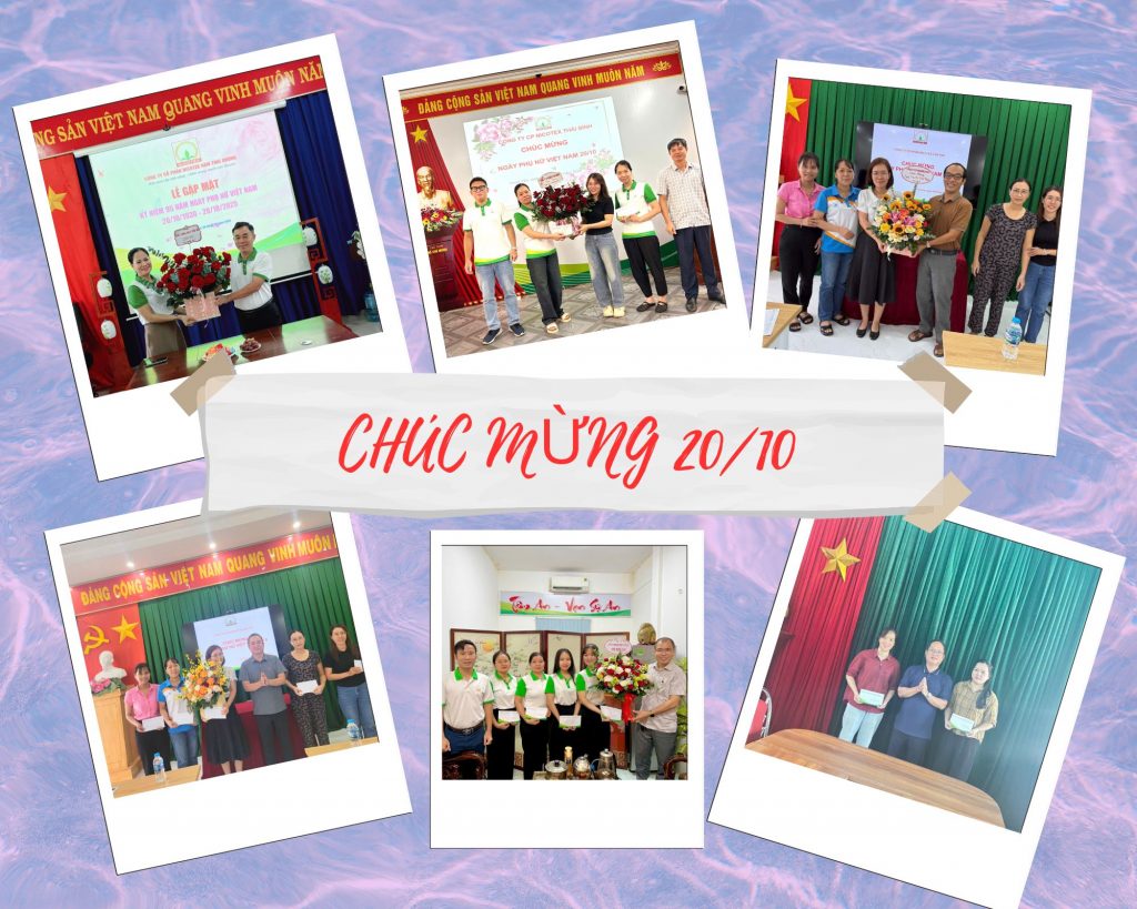 CHÀO MỪNG NGÀY PHỤ NỮ VIỆT NAM 20/10 – NICOTEX TRAO GỬI YÊU THƯƠNG Blue Instant Photo Summer Mood Board Photo Collage