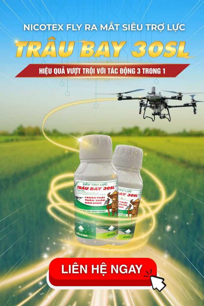 591931898 1421196170016642 8009253670290230327 n