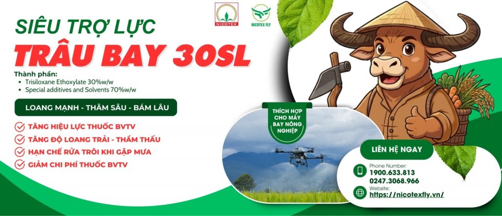 Thiet ke chua co ten 1